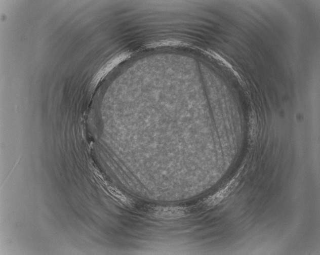 X0000060550921200511241221