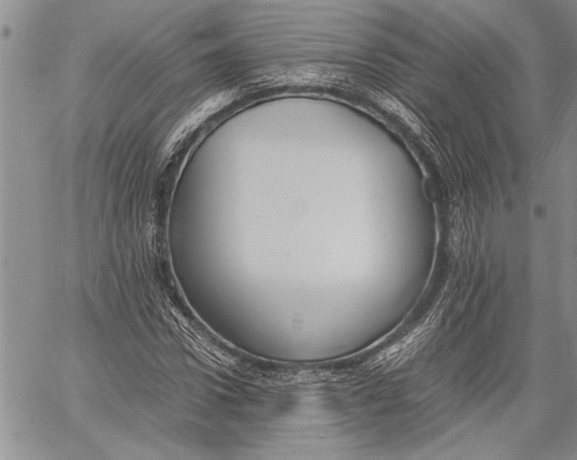 X0000060550922200511241221