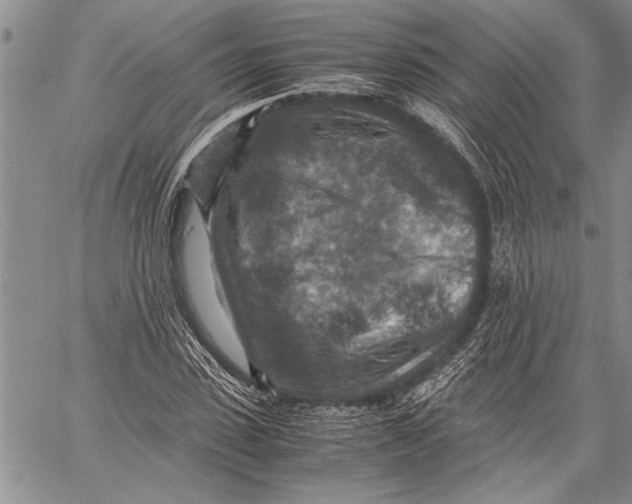 X0000060550923200511241221