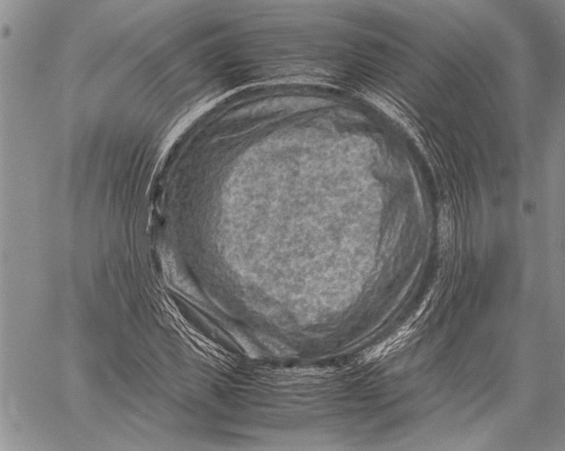 X0000060550925200511241221