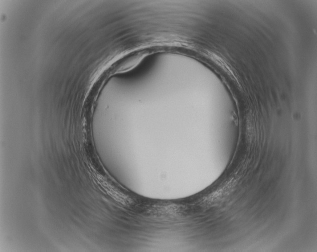 X0000060550926200511241221