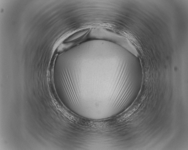 X0000060550928200511241221