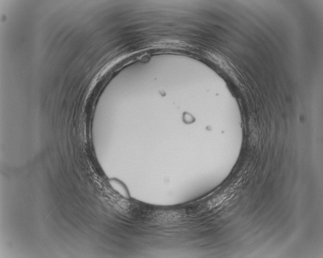 X0000060550931200511241221