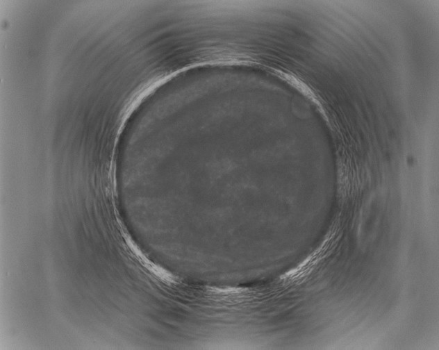 X0000060550935200511241221