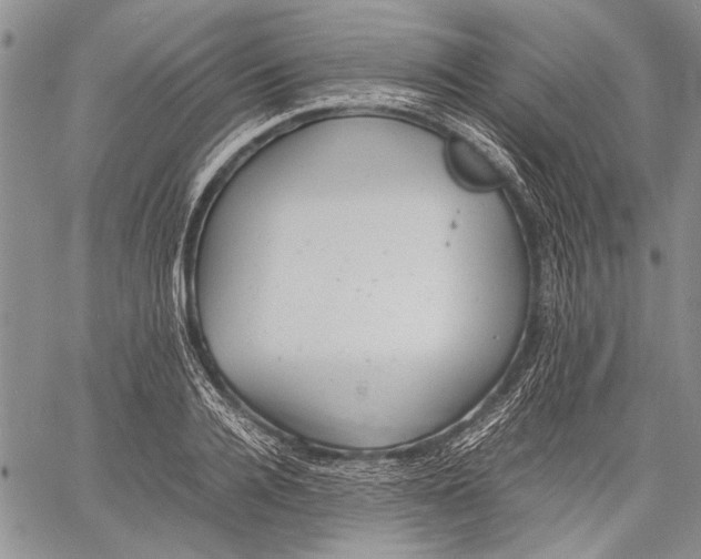 X0000060550936200511241222