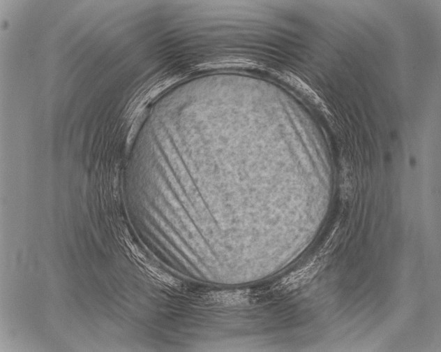 X0000060550937200511241222