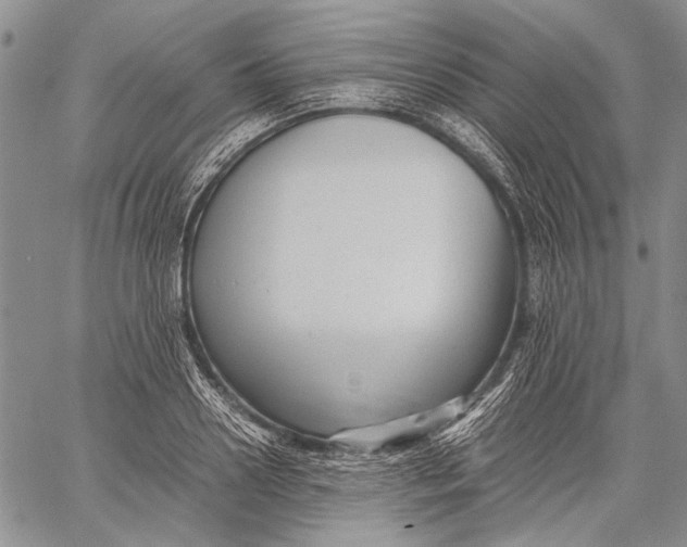 X0000060550938200511241222