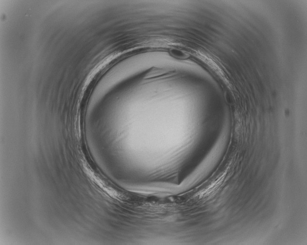 X0000060550939200511241222