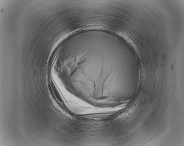 X0000060550941200511241222