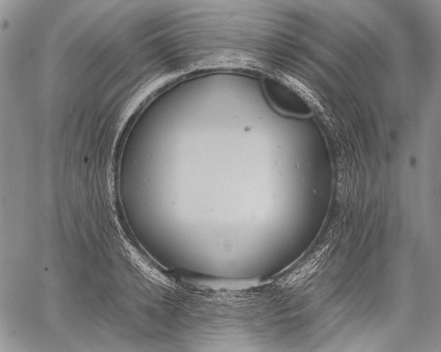 X0000060550942200511241222