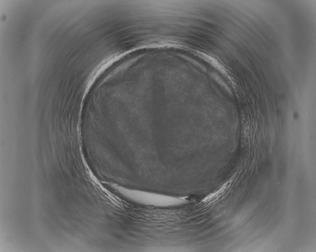 X0000060550943200511241222