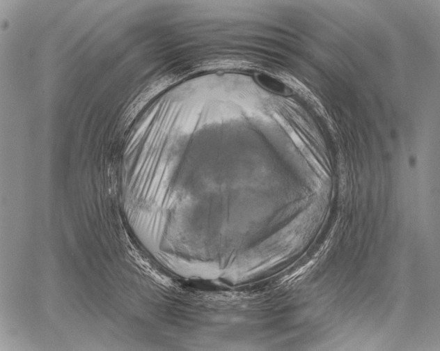 X0000060550945200511241222