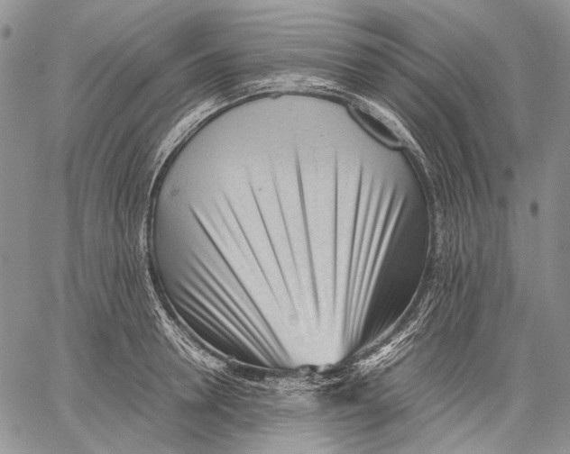 X0000060550946200511241222