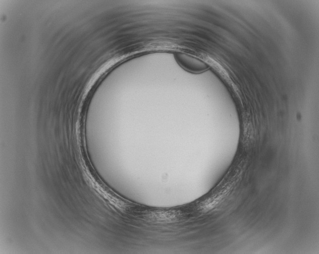 X0000060550947200511241222