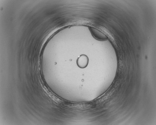 X0000060550948200511241222