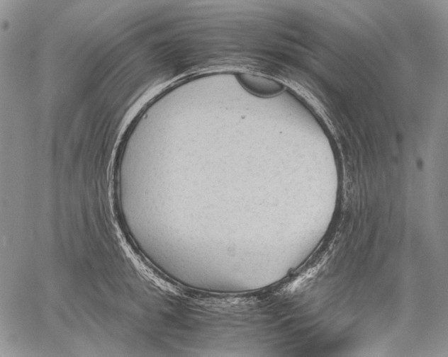 X0000060550949200511241222