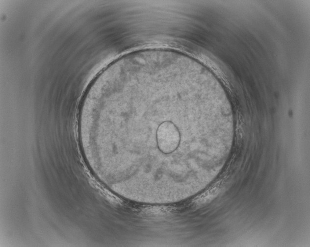 X0000060550950200511241222