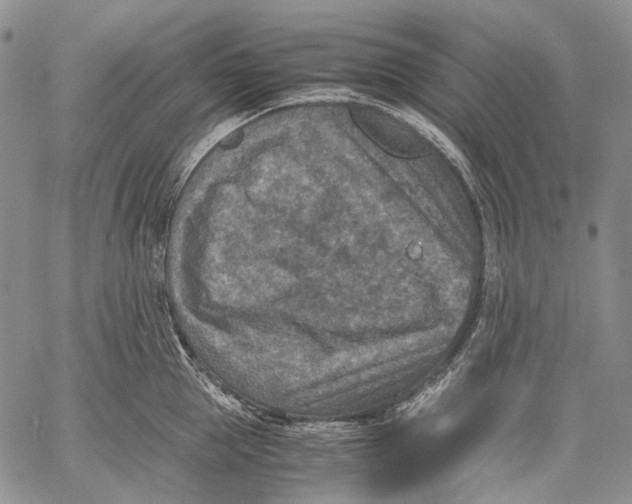 X0000060550953200511241222