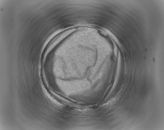 X0000060550955200511241222