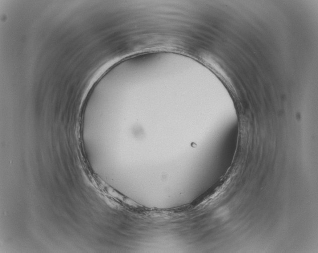 X0000060550956200511241222