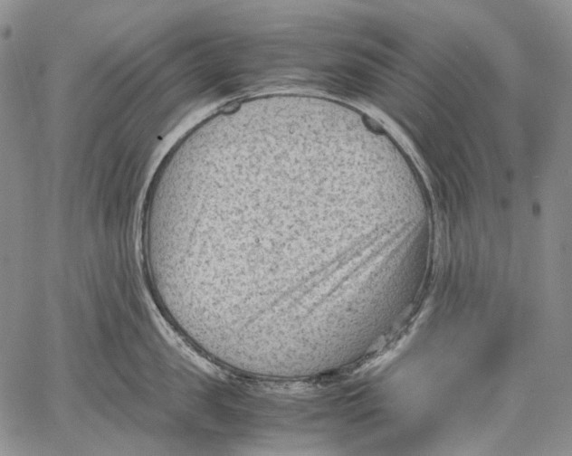 X0000060550957200511241222