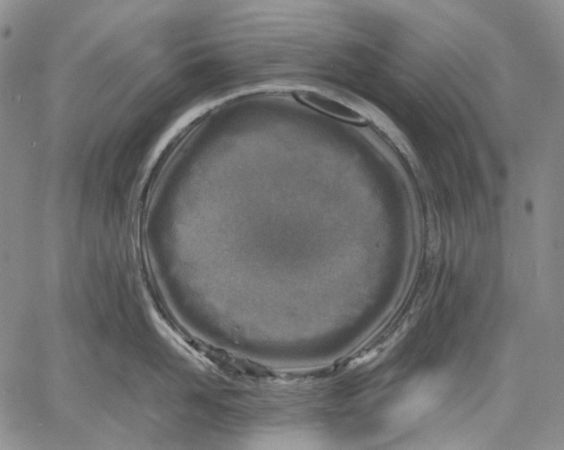 X0000060550958200511241222