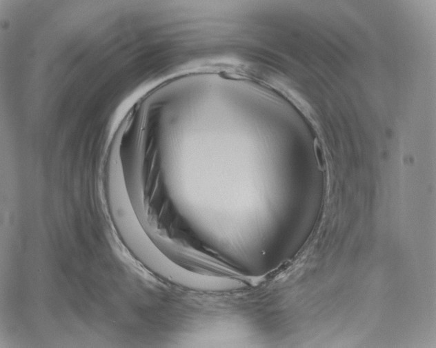 X0000060550960200511241222