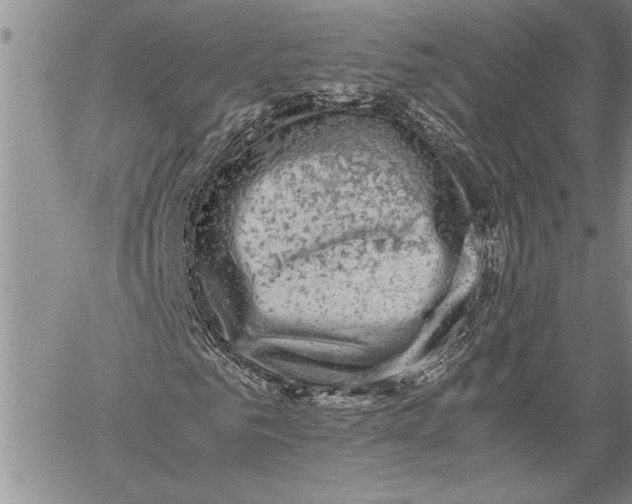 X0000060550961200511241221