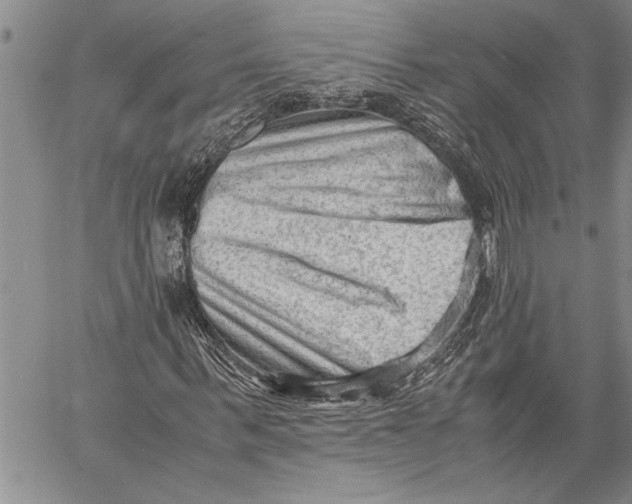 X0000060550963200511241221