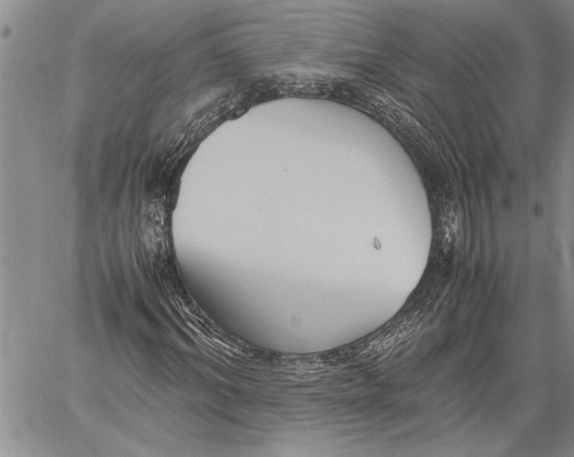 X0000060550964200511241221