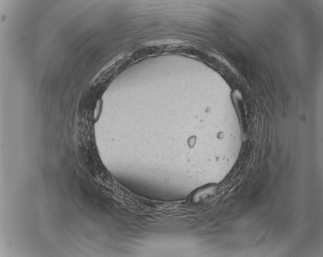 X0000060550967200511241221