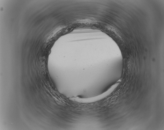 X0000060550968200511241221