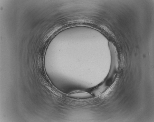 X0000060550969200511241221