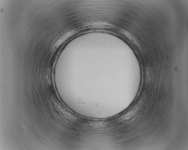 X0000060550970200511241221