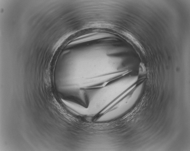 X0000060550972200511241221