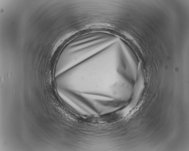 X0000060550973200511241221