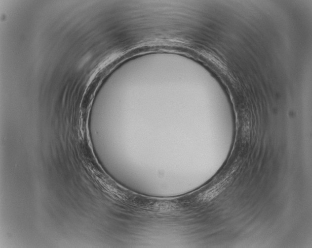 X0000060550974200511241221