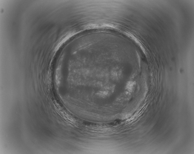 X0000060550975200511241221