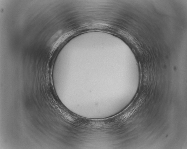 X0000060550978200511241221