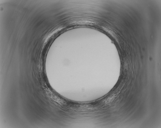 X0000060550979200511241221