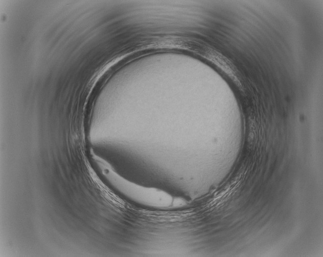 X0000060550980200511241221