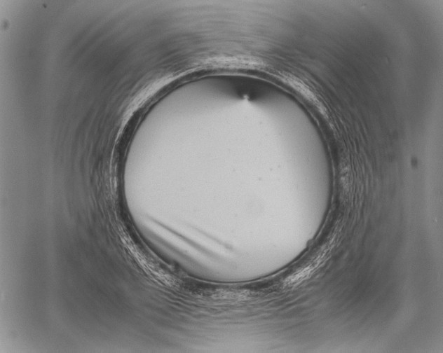 X0000060550981200511241221