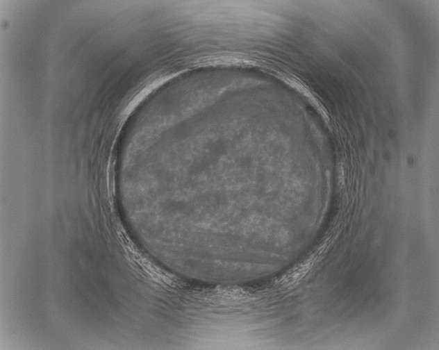 X0000060550983200511241221