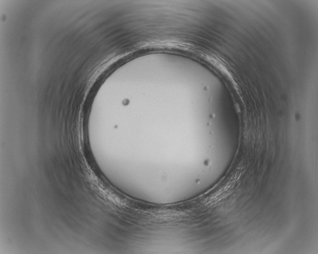 X0000060550984200511241221