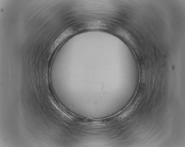 X0000060550986200511241221