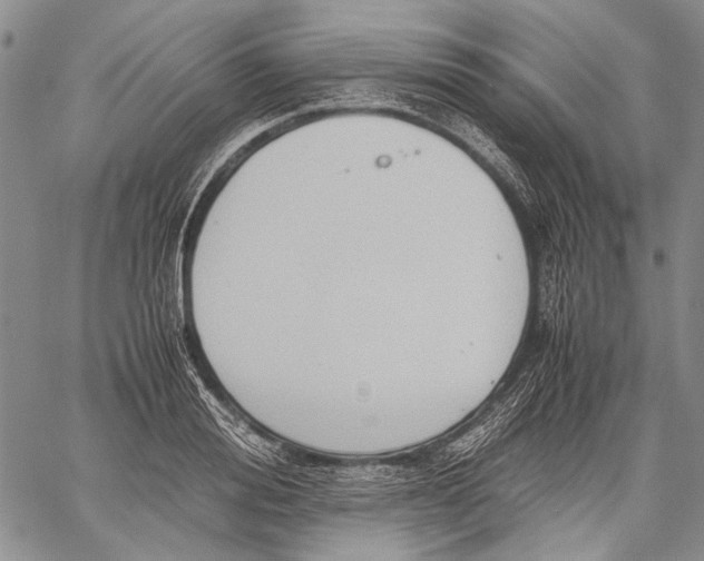 X0000060550988200511241221