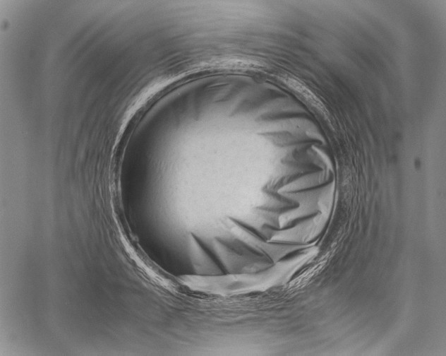 X0000060550989200511241221