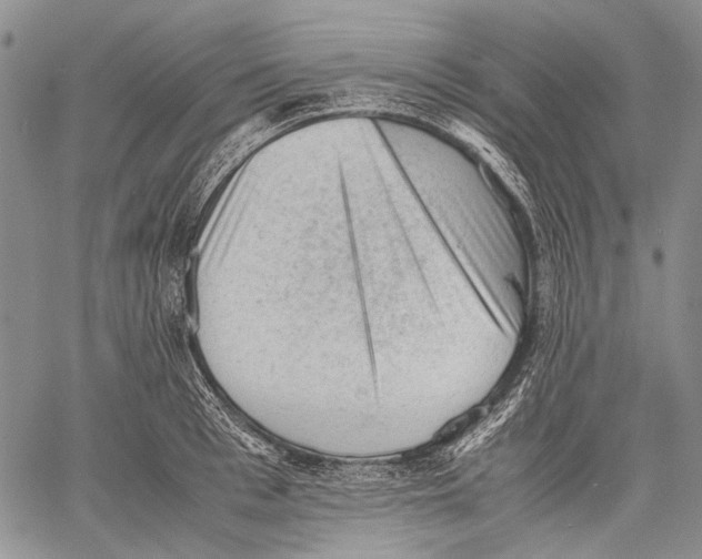 X0000060550993200511241221