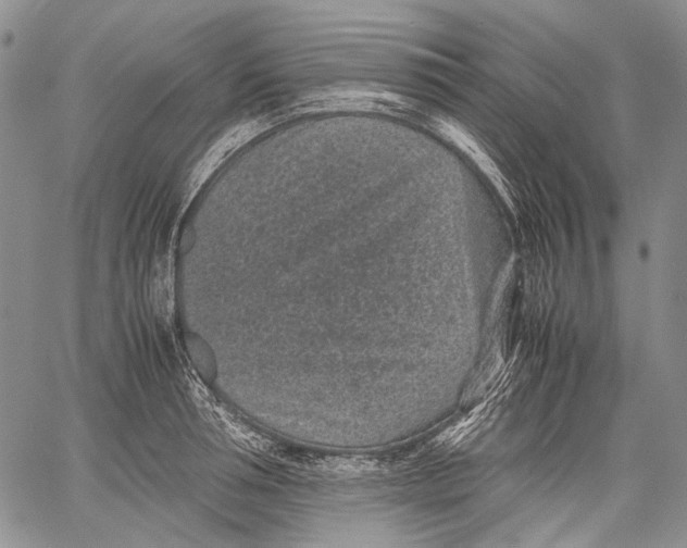 X0000060550994200511241221