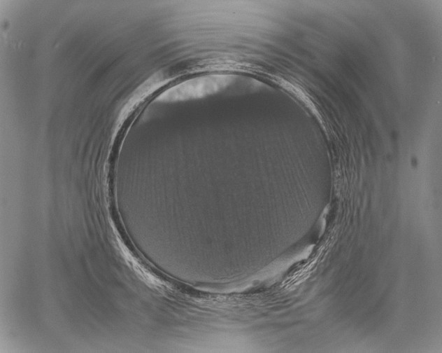 X0000060550995200511241221